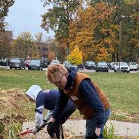 Clearing landscape around the gazebo